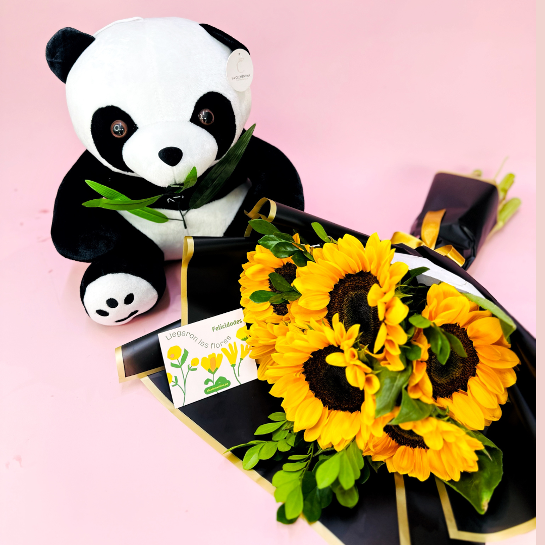 Duo Panda - Girasol